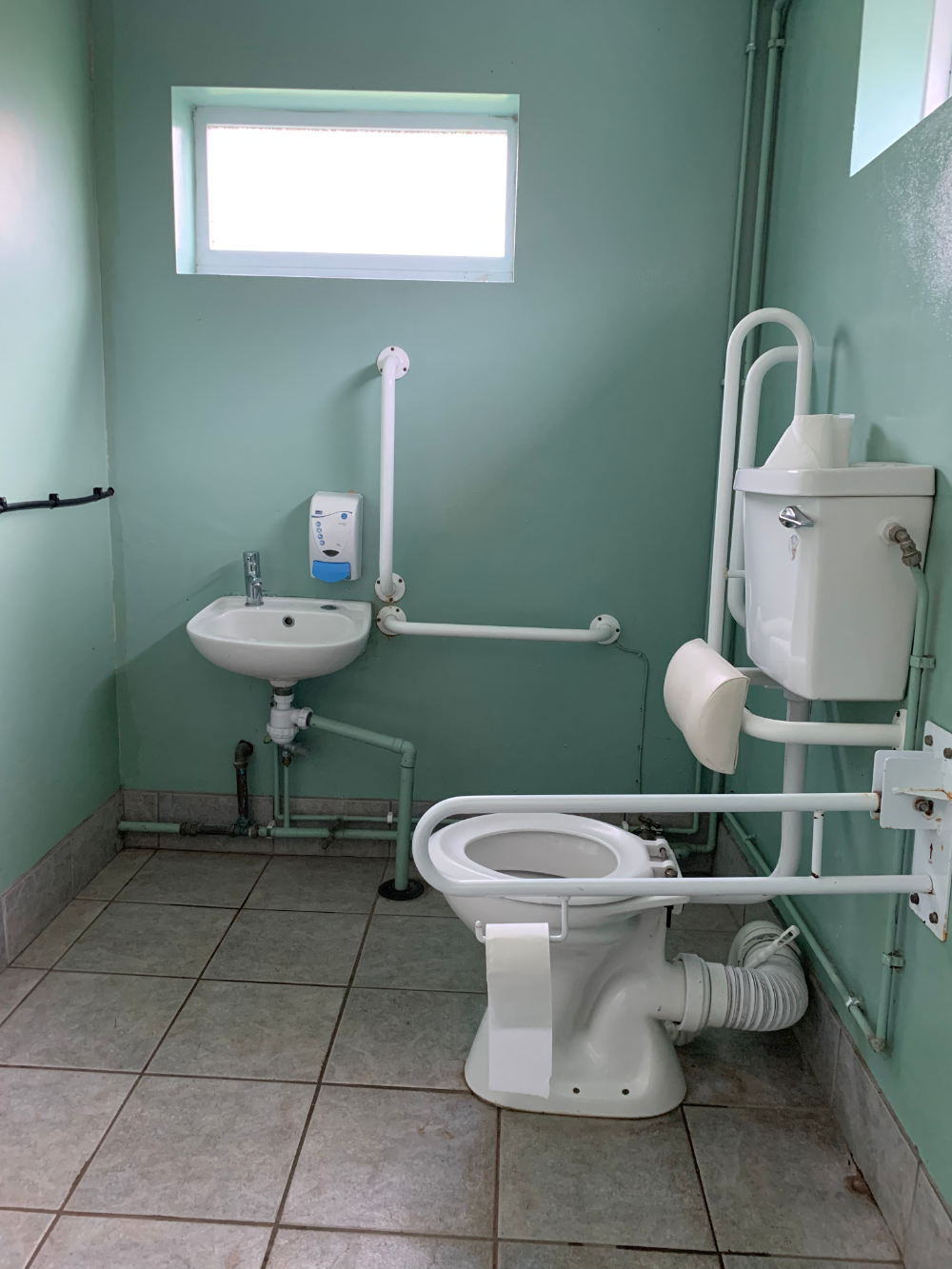 Photo of an accessible toilet with several grab bars and washing up sink