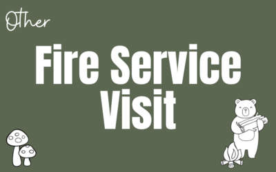 Fire Service Visit