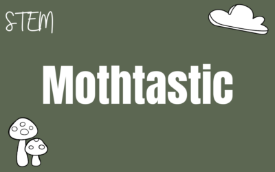 Mothtastic!