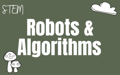 Robots and Algorithms