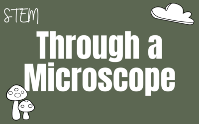 Our World Through a Microscope